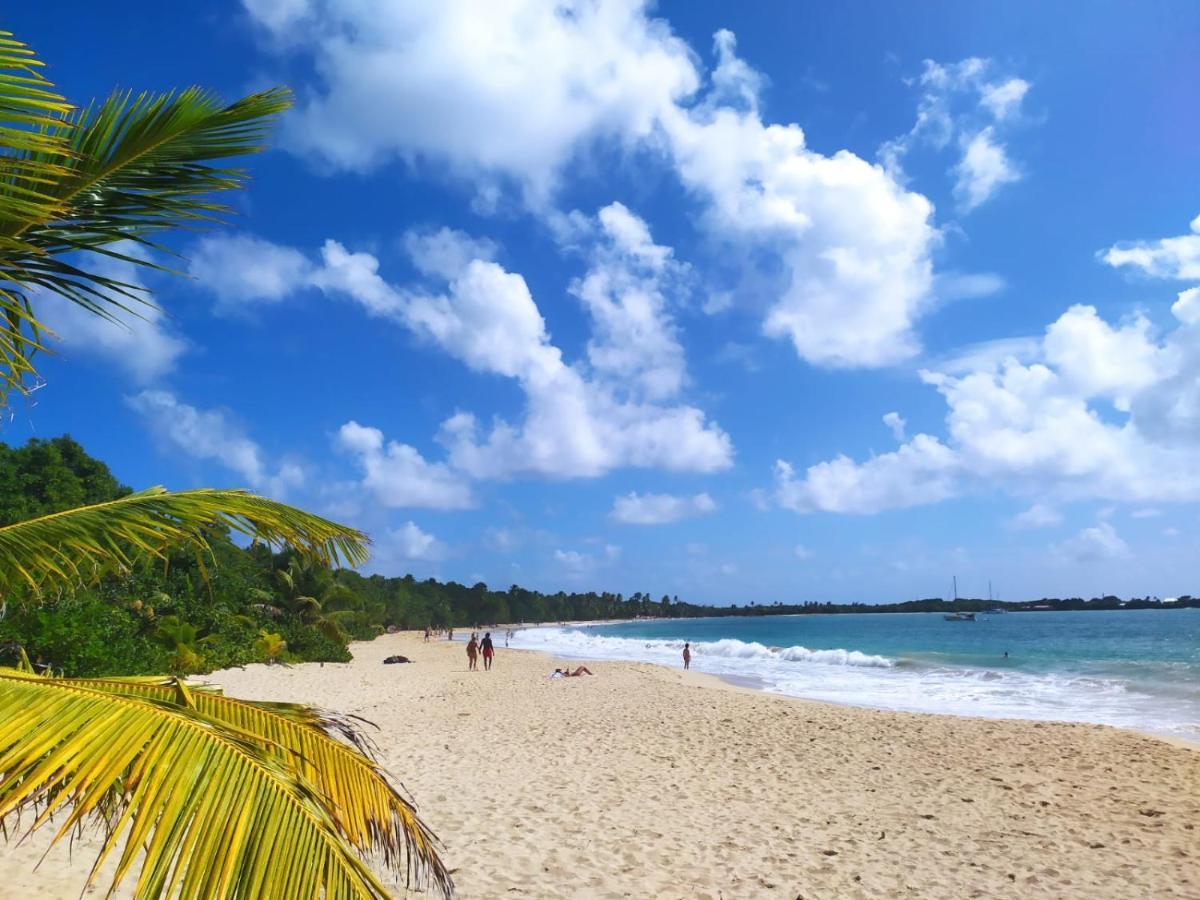 Imagine972 Martinique Bateau Hotel A Quai Le Marin 3 Cabines 3 Salles De Bains 6 Pers Maxi Bagian luar foto