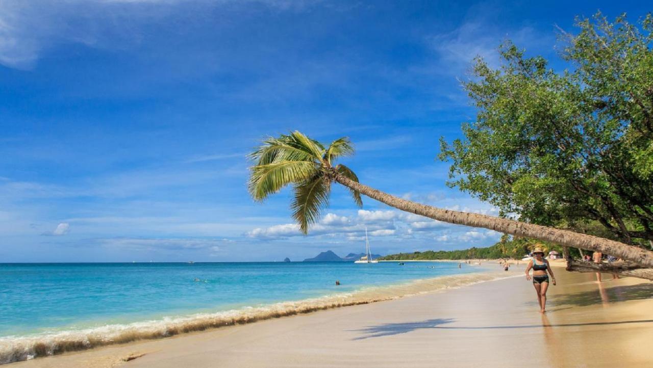 Imagine972 Martinique Bateau Hotel A Quai Le Marin 3 Cabines 3 Salles De Bains 6 Pers Maxi Bagian luar foto