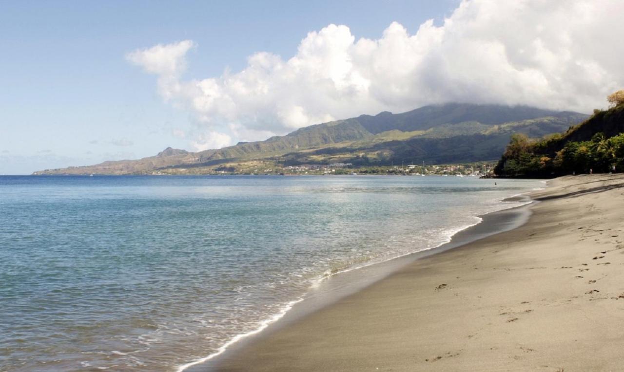 Imagine972 Martinique Bateau Hotel A Quai Le Marin 3 Cabines 3 Salles De Bains 6 Pers Maxi Bagian luar foto